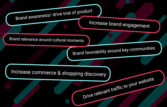 tiktok business objectives